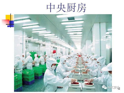 食品安全法與餐飲服務(wù) 筑牢健康防線，守護(hù)“舌尖上的安全”