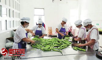 綿陽(yáng)市“明廚亮灶”工程成效顯著，餐飲服務(wù)單位覆蓋率突破75.5%